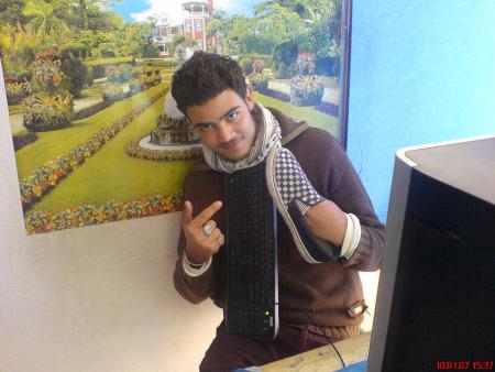 c moi et mon vans off the wall